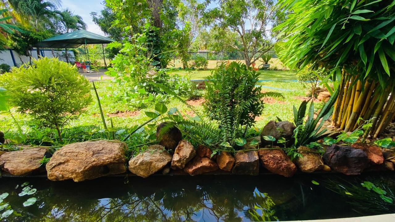 Owin Rose Yala Safari Hotel Tissamaharama Luaran gambar